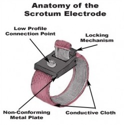 Scrotum Electrode